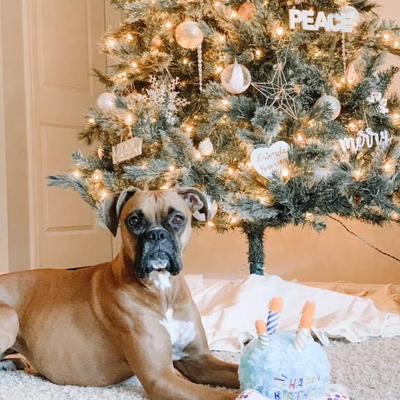 Meet your posher! 💕 - Picture 5 of 5